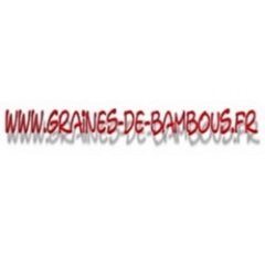 50 bamboo seeds dendrocalamus hamiltonii www graines de bambous fr