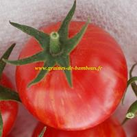 Artisan pink bumble bee tomato seeds