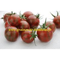 Artisan purple bumble bee graines de tomate