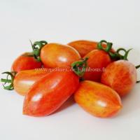 Artisan tomate pink tiger graines