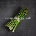 Asperge vert mary washington www graines de bambous fr