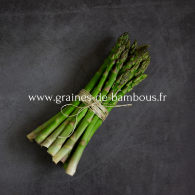 Asperge vert mary washington www graines de bambous fr