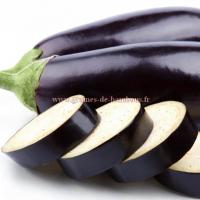 Aubergine coupe en tranches