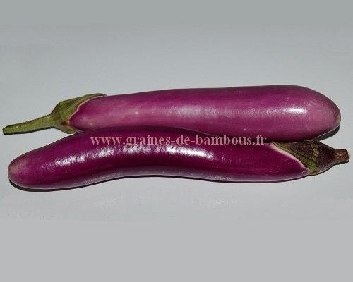 Aubergine ping tung sur graines de bambous fr