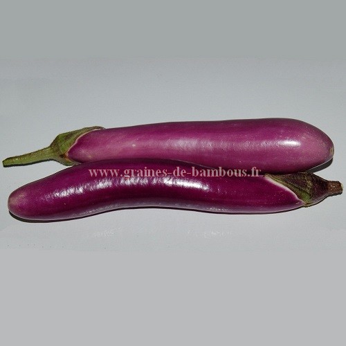 Aubergine ping tung sur graines de bambous fr