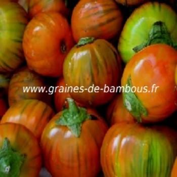 aubergine-turc-orange-www-graines-de-bambous-fr-1.jpg