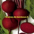 Betterave detroit 2 rouge graines de bambous fr