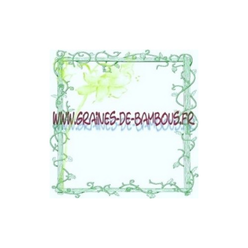 Betterave rouge plate d egypte graines de potageres et legumes