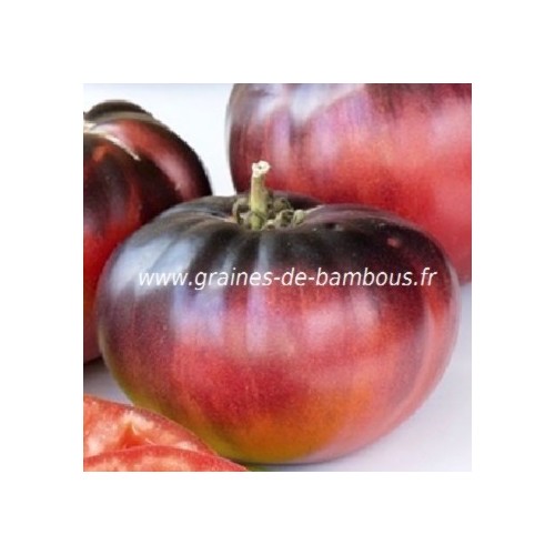 Blue beauty indigo graine tomate