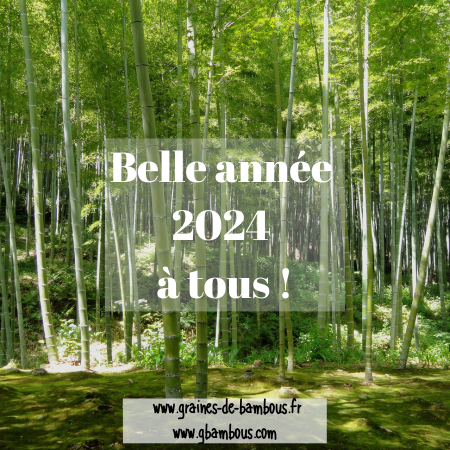 BONNE ANNEE 2024 Graines-de-bambous.fr