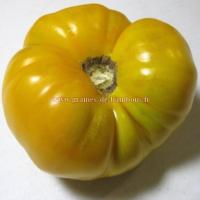 Brandywine jaune graines de tomate