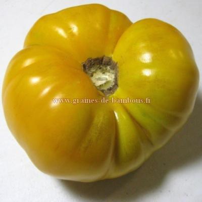 Brandywine jaune graines de tomate