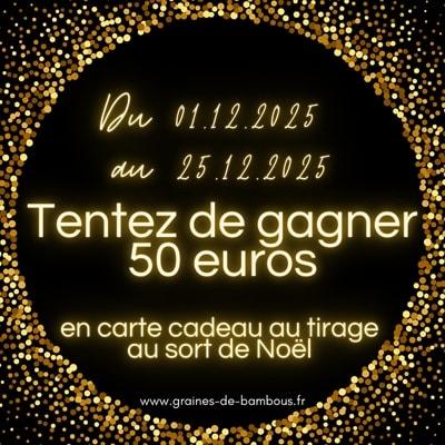 Calendrier de l avent n 6 graines de bambous fr