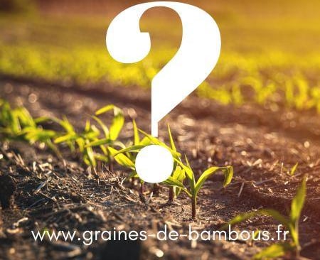 Calendrier semis recolte legumes