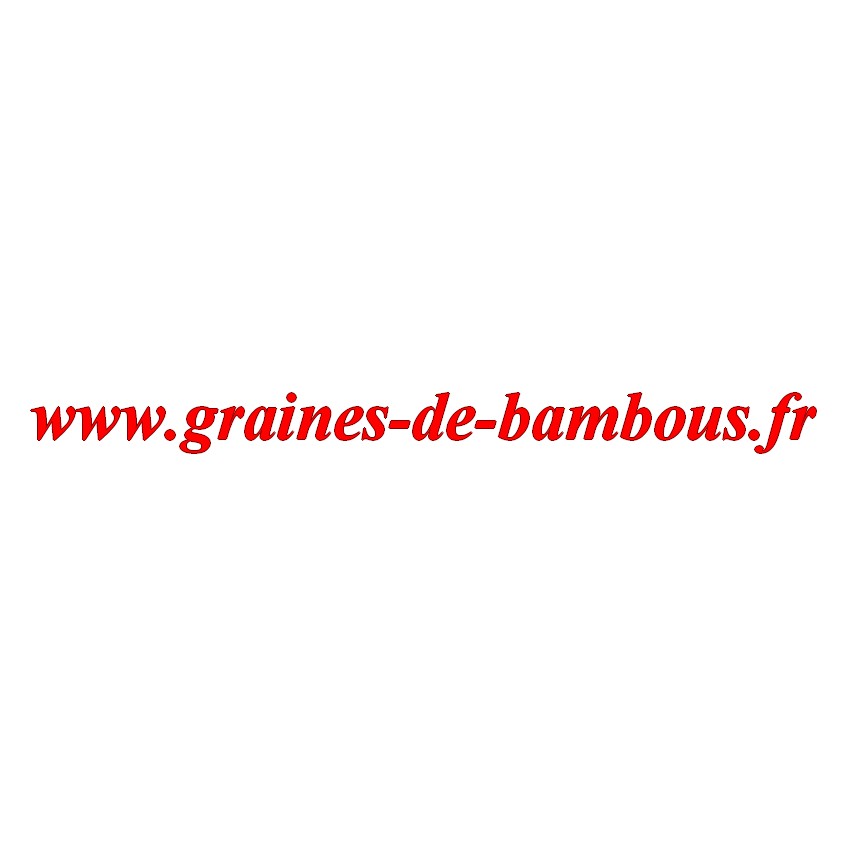 Carotte de colmar sur graines de bambous fr