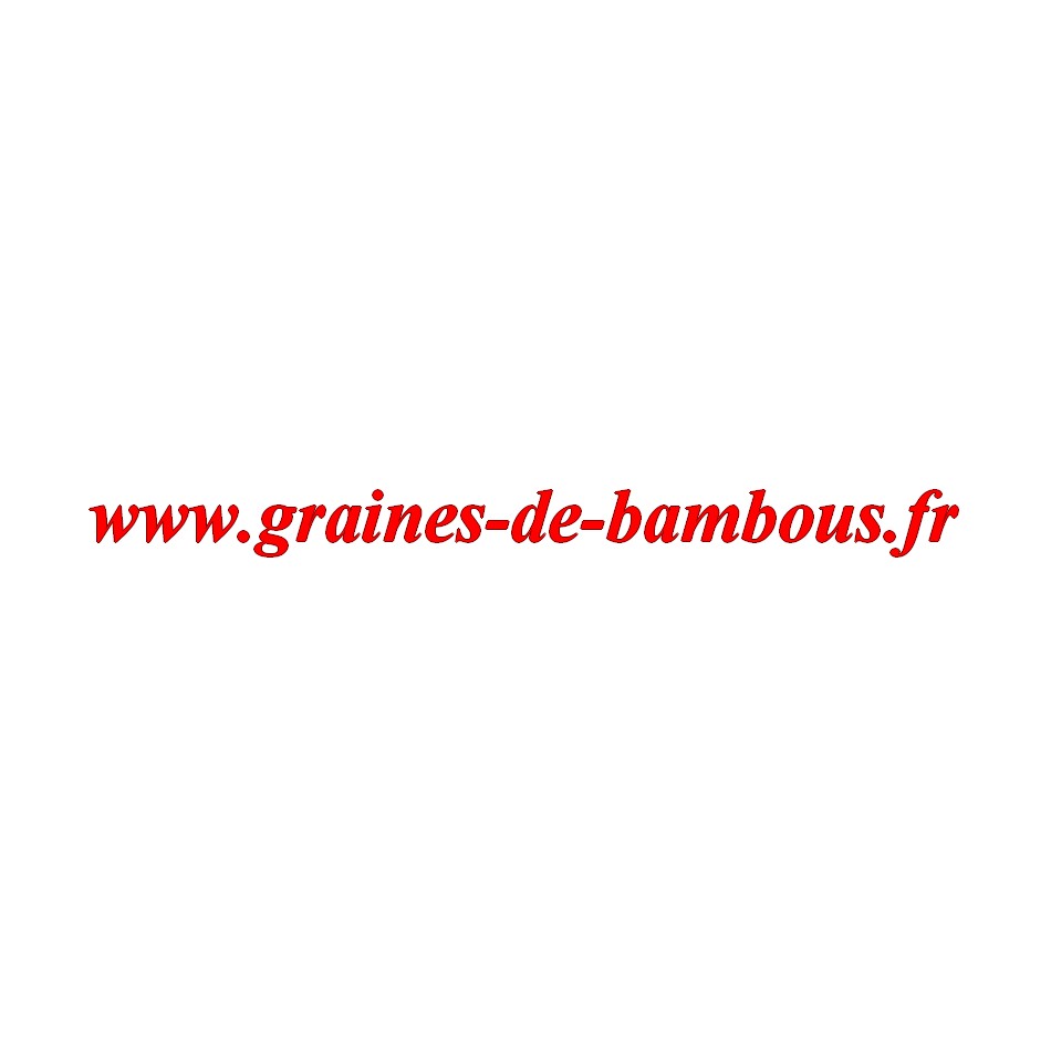 Carotte red atomic sur graines de bambous fr