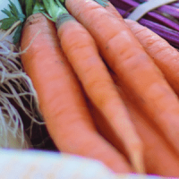 POTAGER