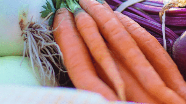 Graines du Potager