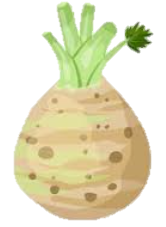 Celeri icone gdb