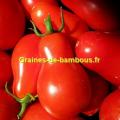 Cerise poire rouge tomate graines de bambous fr