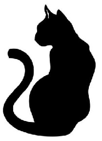 Chat 1