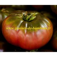 Cherokee purple graines de tomate