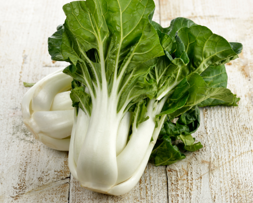 Chou chinois pak choi blanc graines de bambous fr