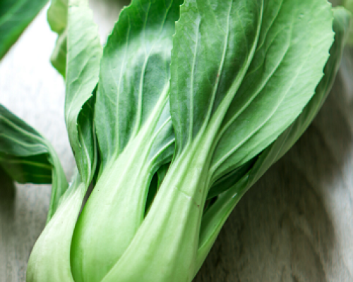 Chou chinois pak choi vert graines de bambous fr 1