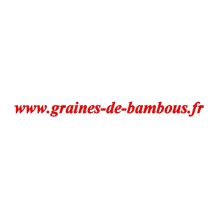 Concombre variete marketmore graines