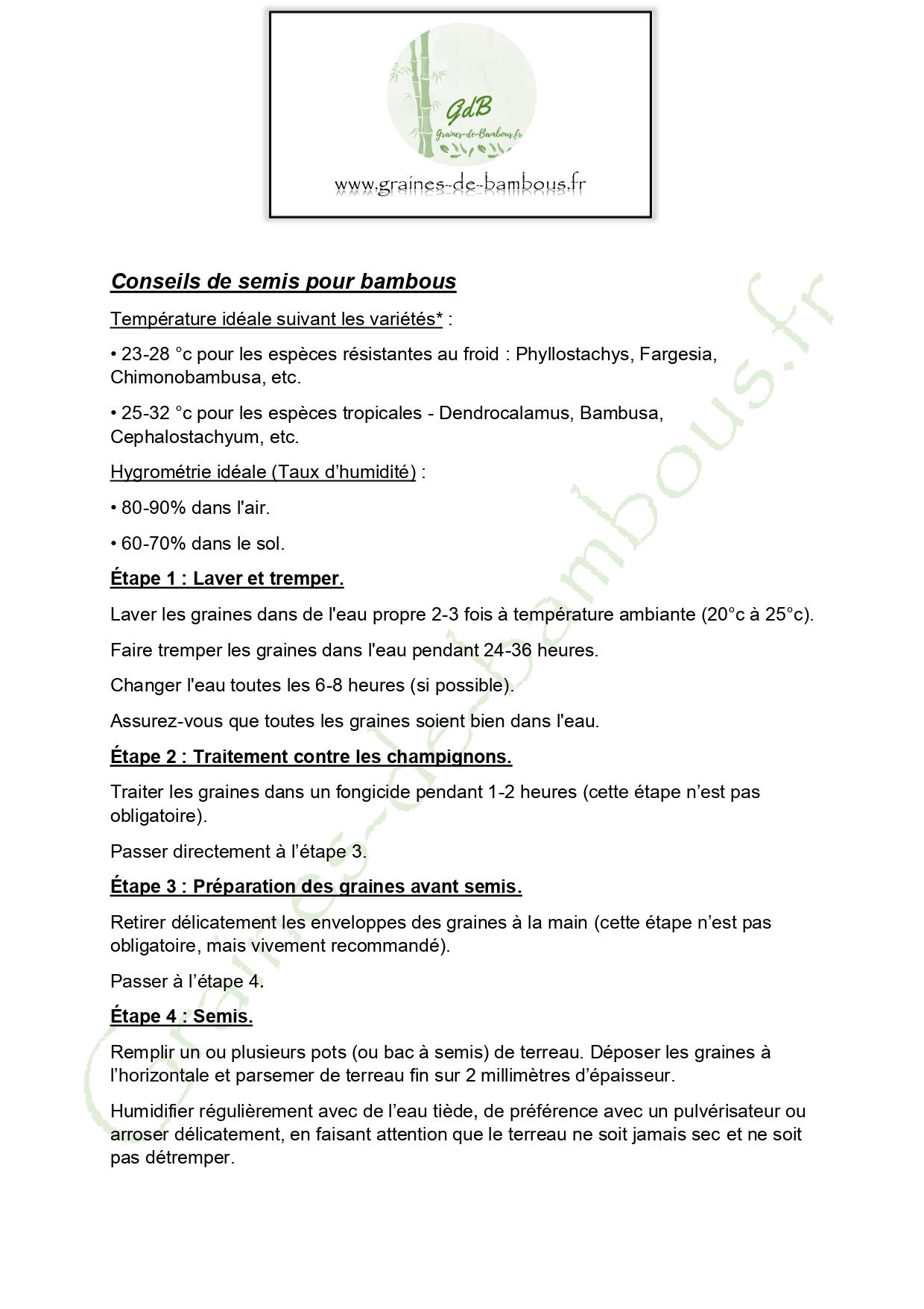 Conseils de semis graines de bambous fr