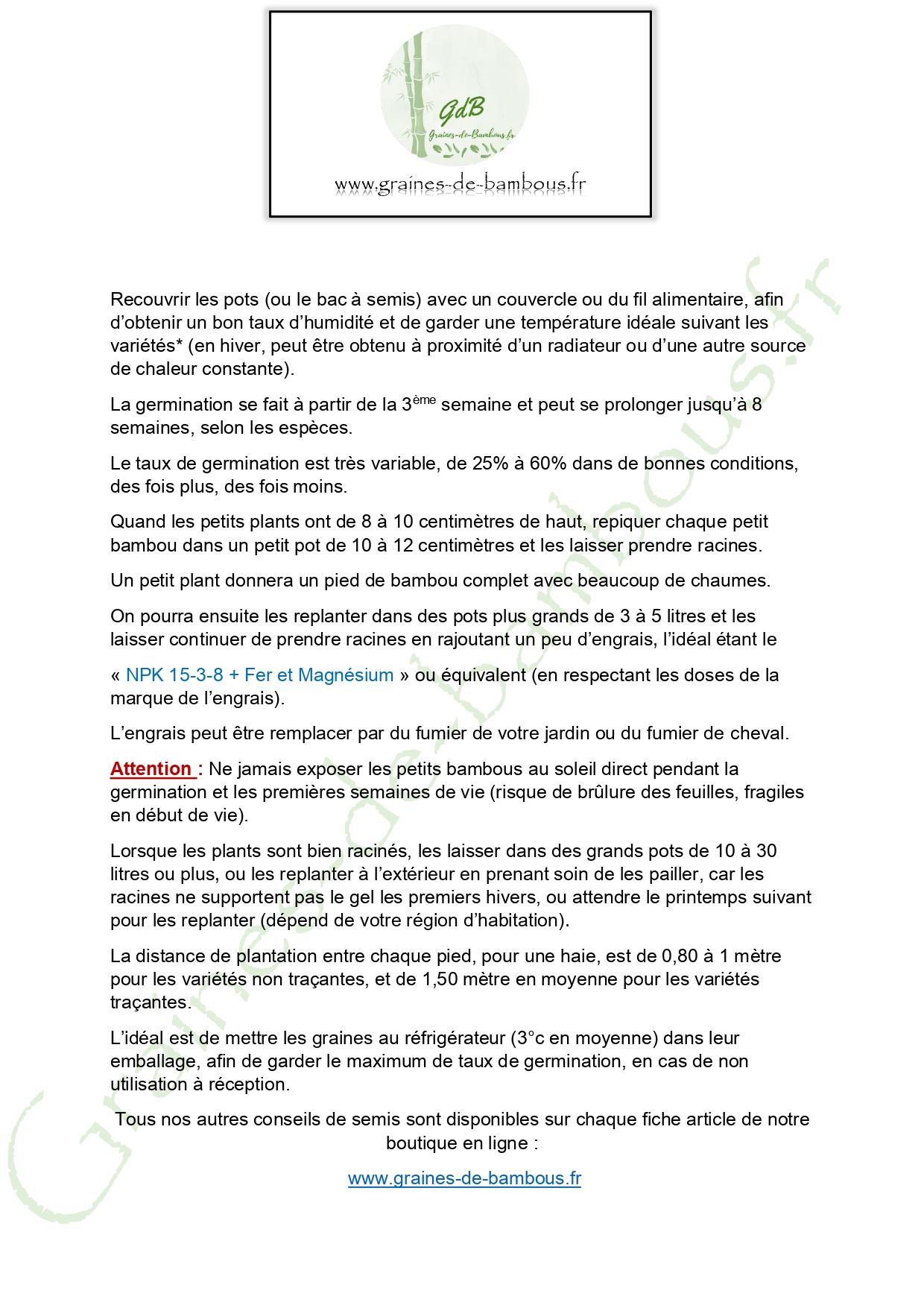 Conseils de semis graines de bambous fr