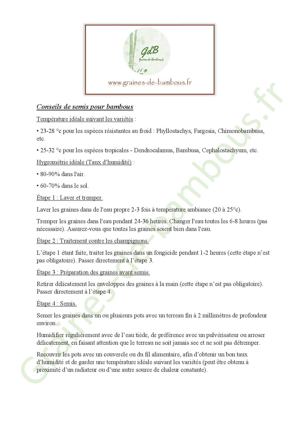 Conseils de semis pour bambous 20201