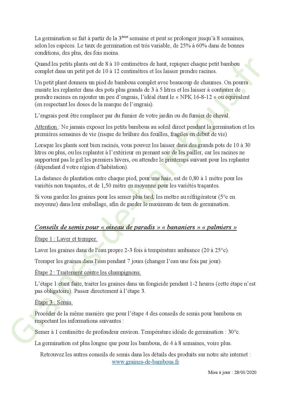 Conseils de semis pour bambous 20202