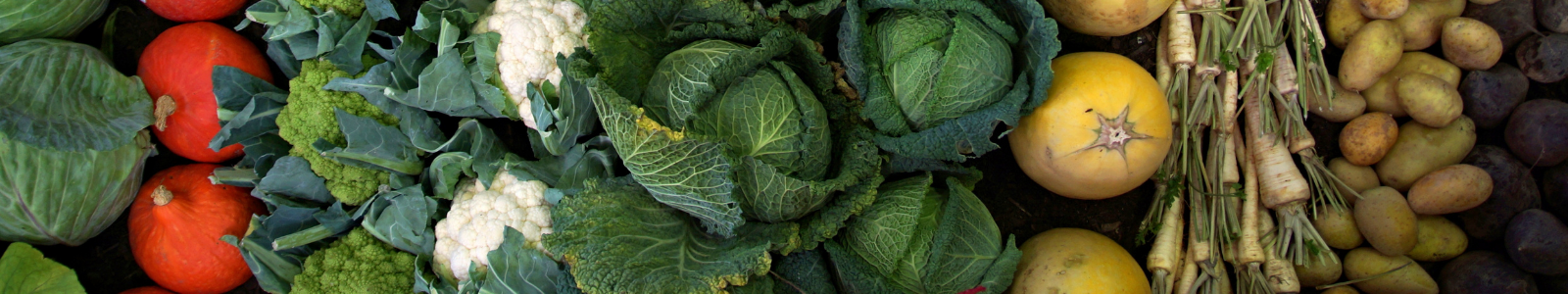 POTAGER