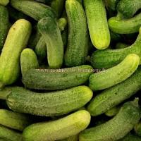 Cornichon