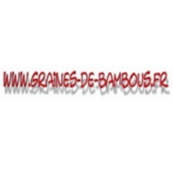 Cotonnier blanc ornemental gossypium herbaceum www graines de bambous fr