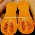 courge-doubeurre-butternut-waltham-noix-de-beurre-www-graines-de-bambous-fr-1.jpg