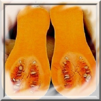 courge-doubeurre-butternut-waltham-noix-de-beurre-www-graines-de-bambous-fr-www-grainesdebambous-com-1.jpg