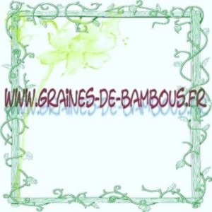 Courge musquee de provence potageres legumes