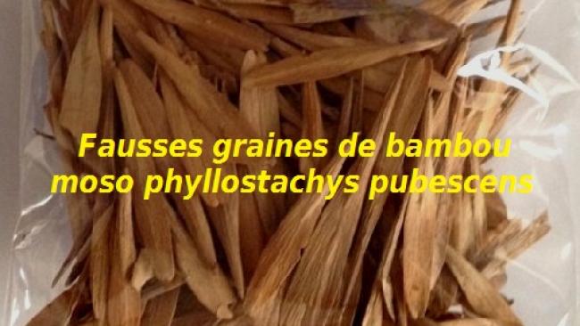 Arnaque aux graines