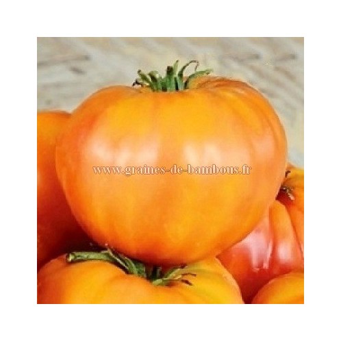 Fruit striped german graines de tomate
