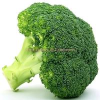 Graines de brocoli variete calabrais