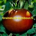 Graines de tomate black prince grainesdebambous com