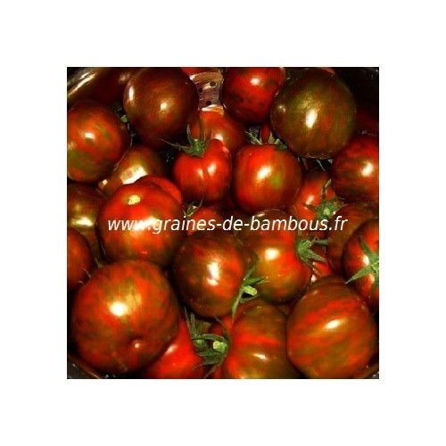 Graines de tomate black zebra