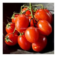 Graines de tomate de berao