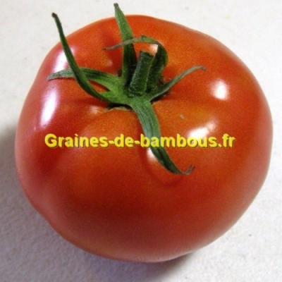 Graines de tomate non traitee druzba