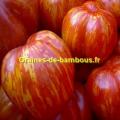 Graines de tomate rayee striped stuffer