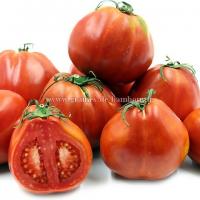 Graines de tomate red pear