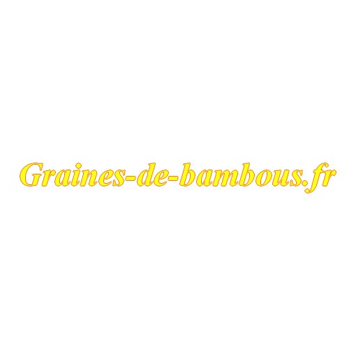 Graines de tomate sur graines de bambous fr