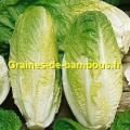 Graines laitue romaine blonde